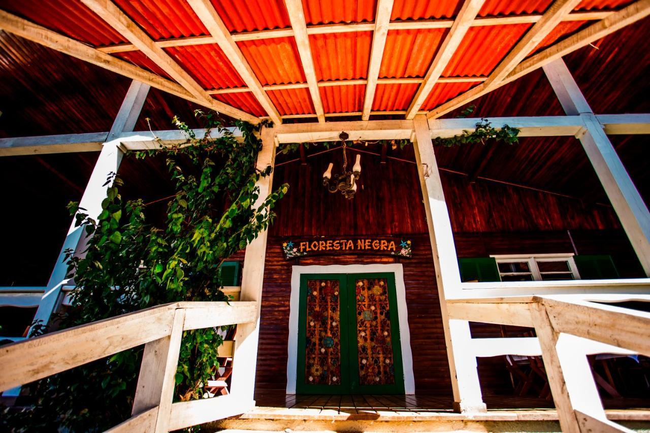 Hotel Fazenda Floresta Negra Монти-Верди Экстерьер фото