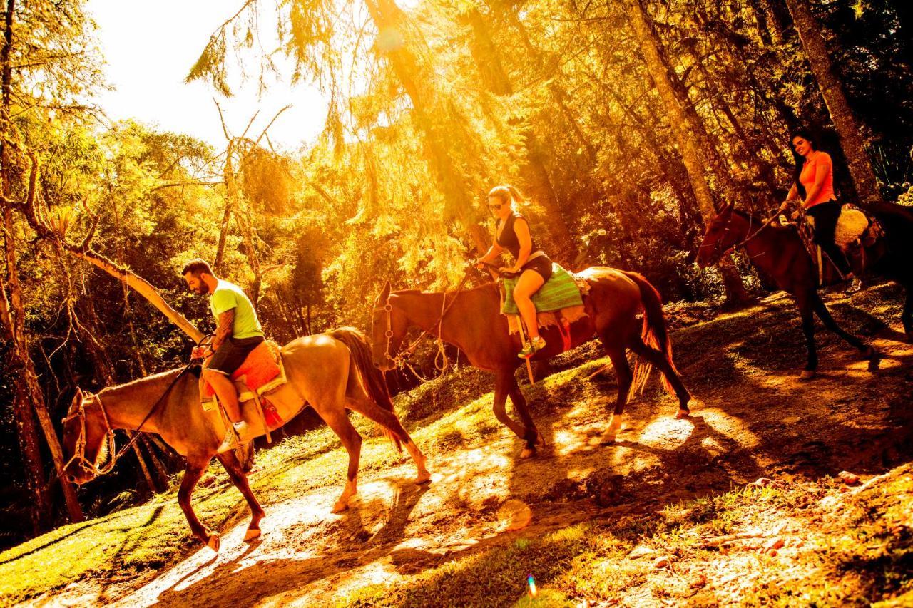 Hotel Fazenda Floresta Negra Монти-Верди Экстерьер фото